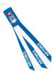 Air Force Windsock